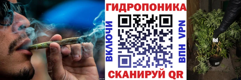 Шишки марихуана MAZAR  Кодинск 